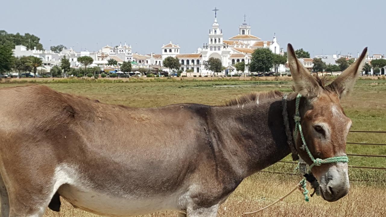 Hospederia Rural Las Buganvillas El Rocio Exterior photo